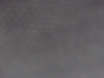 bruno_wild's Thumb Image