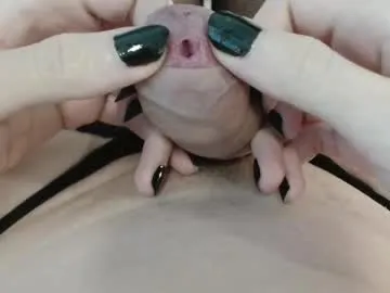 fergusonfamas Image 5