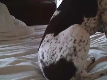 jim311's Thumb Image