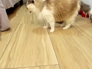 sophiebaker__ Image 9