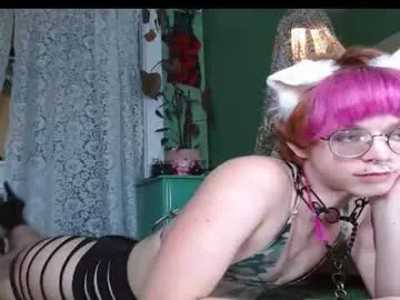 xpawstarx Image 2