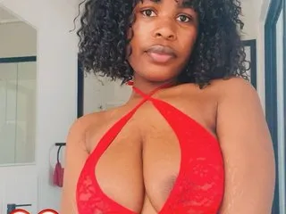Bestplay Image 3